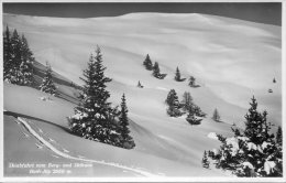 Skiabfahrt Vom Berg Und Skihaus Hoch Alp 2050m - Tschiertschen - Tschiertschen