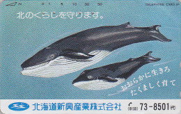 Télécarte Japon / 430-5747 - ANIMAL - BALEINE & Son Baleineau - WHALE & Baby Japan Phonecard - WAL Telefonkarte - BE 391 - Delfines