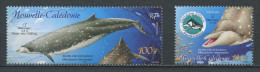 CALEDONIE 2004 Timbres Du Bloc N°32 ** Neufs = MNH Superbes Faune Marine Marine Fauna Animaux - Unused Stamps