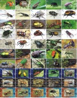 A02427 China Phone Cards Bettle Puzzle 200pcs - Sonstige & Ohne Zuordnung