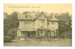 België  -  Brasschaat -  Brasschaet-Polygone : Sterre Bosch - Brasschaat