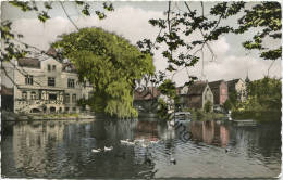 Buxtehude - Stadtpark - Foto-AK - Cramers Kunstanstalt KG Dortmund Gel. 1958 - Buxtehude