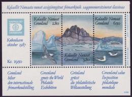 C760 - Groenland 1987 - Bloc Yv.no.1 Neuf** - Blocks & Sheetlets