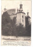 Ecaussines  Le Château D'Ecaussines -Lalaing - Ecaussinnes