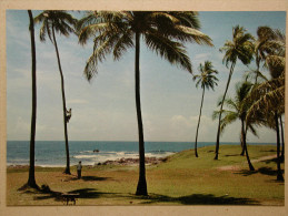 Salvador - Bahía, Jardim De Alah - Salvador De Bahia