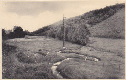 Belgique - Lierneux - Vallée De La Lienne - Cachet Lierneux 1962 - Editeur Pirard  Au Panier Fleuri - Lierneux