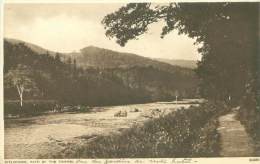 PITLOCHRIE, Path By The Tummel - Perthshire