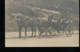 Fiacre  ( Carte Photo ) - Taxis & Droschken