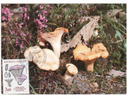 CPSM CHAMPIGNON LA CHANTERELLE VIOLETTE  PHOTO  1 ER JOUR MAXIMUM TIMBRE 1987 FRANCE - Mushrooms