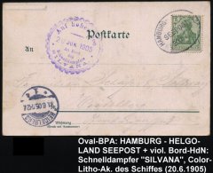 HAMBURG-HELGOLAND/ SEEPOST 1905 (20.6.) Oval-BPA Ohne Stern + Viol. Zier-HdN: Auf Hoher See/An Bord/des/... - Other & Unclassified