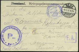 MEWE/ *(WEICHEL)/ A 1917 (9.5.) 1K-Gitter + Viol. 2K-HdN: Geprüft Offizier -Kriegsgefannenlager/Mewe (Wo.96 D,... - Other & Unclassified