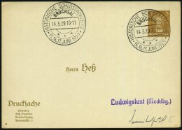 BRUCHSAL/ ***/ HISTOR.SCHLOSSKONZERTE/ 15.,16.,17.JUNI 1929 (14.5.) Seltener HWSt Auf PP Goethe 3 Pf. (Heß,... - Other & Unclassified