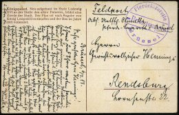 DT.BES.BELGIEN 1917 (6.7.) Viol. 1K-Briefstempel: Pferdelazarette/ Brüssel + Hs. Abs. , Klar Gest.... - Other & Unclassified