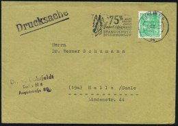 BERLIN N4/ Bg/ 75% ALLER/ BRÄNDE/ Durch/ Fahrlässigkeit!.. 1956 (3.8.) MWSt = Zündholz Vor Tannen ,... - Other & Unclassified