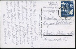 D.D.R. 1951 12 Pf. Friedenstag ,EF  = Hand Vor Atombombe, Taube , Bedarfs-Ak. (Ilmenau, Goethe) N. West-Berlin... - Other & Unclassified