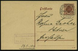 STUTTGART Nr.1/ 1819-/ 1919/ W.VERFASSUNGS=/ TAG 1919 (25.9.) SSt + Viol. Ra.: Bezirkssammelstelle/für Eier..... - Other & Unclassified