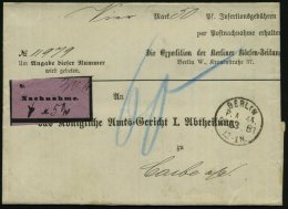 BERLIN.W./ 44./ *a 1880 (28.3.) 1K + Lila Nachnahme-Label Klar Gest. Falt-NN-Vordr.-Bf: Die Expedition Der Berliner... - Other & Unclassified