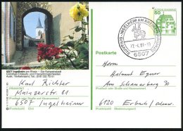 6507 INGELHEIM AM RHEIN 1/ ..Rotweinstadt 1981 (27.4.) HWSt = Denkmal Karl Der Große Auf Ortsgl. BiP 50 Pf.... - Other & Unclassified