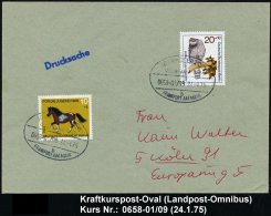 IDAR-OBERSTEIN/ ÜBERLANDPOST/ 0658-01/ 09/ B/ FRANKFURT AM MAIN 1975 (24.1.) Oval-St. 2x Klar Auf Inl.-Bf. - Sonstige & Ohne Zuordnung