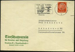 DRESDEN A1/ K/ 7.8.38/ Sachsenring/ NSKK/ HOHENSTEIN-ERNSTTHAL/ Großer Preis V.Europa 1938 (12.7.) Seltener... - Other & Unclassified