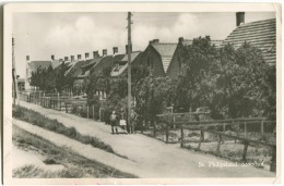 Fotokaarte Sint Philipsland (Tholen ) Stoofhof Met Zijn Bewoners 1954 - Tholen