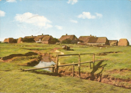 Halligen - Hallig Langeness - Ketelswarft Mit Stock - Halligen