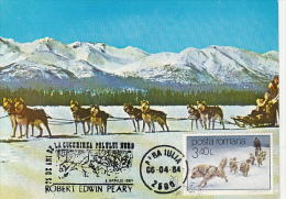 ROBERT EDWIN PEARY ARCTIC EXPEDITION, DOG SLED, CM, MAXICARD, CARTES MAXIMUM, 1984, ROMANIA - Arctic Expeditions