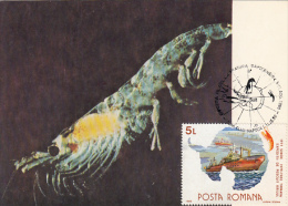 ANTARCTIC WILDLIFE, CRUSTACEAN, PENGUIN, SEAL, SHIP, CM, MAXICARD, CARTES MAXIMUM, 1990, ROMANIA - Fauna Antartica