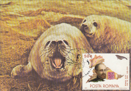 ANTARCTIC WILDLIFE, PENGUIN, SEAL, CM, MAXICARD, CARTES MAXIMUM, 1990, ROMANIA - Antarctische Fauna