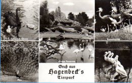 Hamburg Stellingen - S/w Carl Hagenbeck´s Tierpark - Stellingen