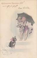 Wichera - Sweet Girls W Piglet & Umbrella French Bulldog Postcard 1903 - Wichera