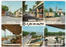 SIPONTO - MANFREDONIA - FOGGIA - 1977 - Manfredonia