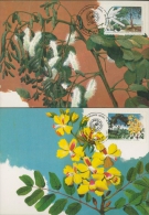 Brasilien 1990 Botanische Gesellschaft Maximumkarten 2340/41 MK (X11765) - Covers & Documents
