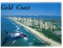 (155) Australia - QLD _ Gold Coast And Dolphin - Gold Coast