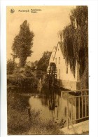 17087 -- Maeseyck - Boschmolen - Moulin - Maaseik