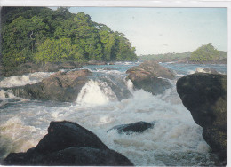 GUYANE FRANCAISE - OYAPOCK - RIVIERE  SAUT MARIPA - Autres & Non Classés