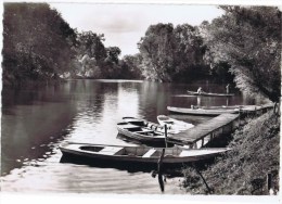 Delcampe - Cpsm VETHEUIL NLES PETITS BRAS VERS MOISSON - Vetheuil