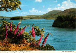 CPSM Irlande-Ireland-Mulroy Bay Near Milford,Donegal   L2064 - Donegal