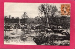 77 SEINE-et-MARNE, Forêt De  FONTAINEBLEAU, Les Mares Du Plateau De Belle-Croix, 1929,  (Cuvier-Châtillon) - Fontainebleau