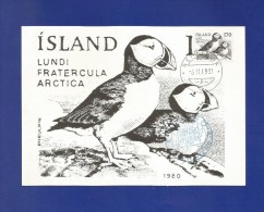 Island 1981 Mi.Nr. 559 ,  Pheulpin ( WIPA 1981 ) - Maximum Card - First Day  Reykjvik  -6.11.1981 - Tarjetas – Máxima