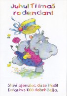 Dressed Hippo Hippopotamus Postcard - Nijlpaarden