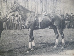 CPA Raid Hippique Des Officiers De Seconde Ligne Organisé Par Le Matin. Lt Cravoisier Des 1er Dragons Vainqueur - Andere & Zonder Classificatie