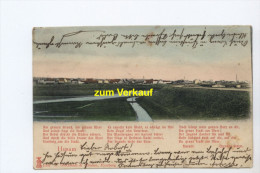 Husum, Panorama Vom Deich, Mit Gedicht Theodor Storm - Husum