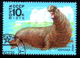 URSS. N°4502 Oblitéré De 1978. Eléphant De Mer. - Antarctische Fauna