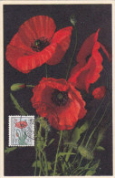 Carte Maximum BELGIQUE N°Yvert 817 (COQUELICOT) Obl Sp 1950 - 1934-1951