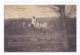 L 7730 COLMAR - BERG, Chateau Grand-Ducal, 1930 - Colmar – Berg