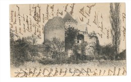 Assier - Ruines Du Chateau Coté Parc - 4 - Assier