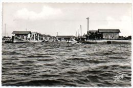 33 - Gironde / GUJAN-MESTRAS : L'Entrée Du Port Du Canal. - Gujan-Mestras