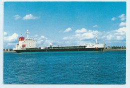 M.s. Cardissa - Petroliere