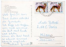 DDR/EAST GERMANY - BAD SULZA VOLKSSOLBAD VIEWS / THEMATIC STAMPS-DEUTSCHER SCHAFERHUND / DOG - Bad Sulza